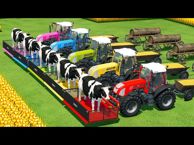 HARVEST, LOAD AND TRANSPORT CORN & COWS WITH RIGITRAC TRACTORS - Farming Simulator 22