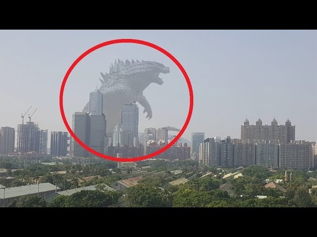 Top 10 Godzilla Caught On Camera And Spotted In Real Life That Will Shock You