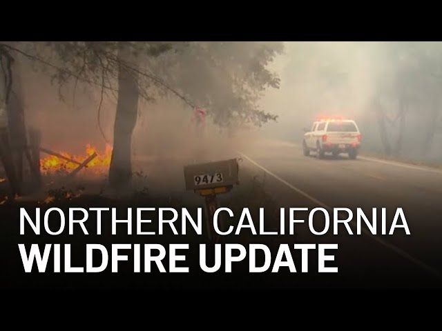 LIVE: Updates on California Wildfires, Evacuations [8/21 6 PM]