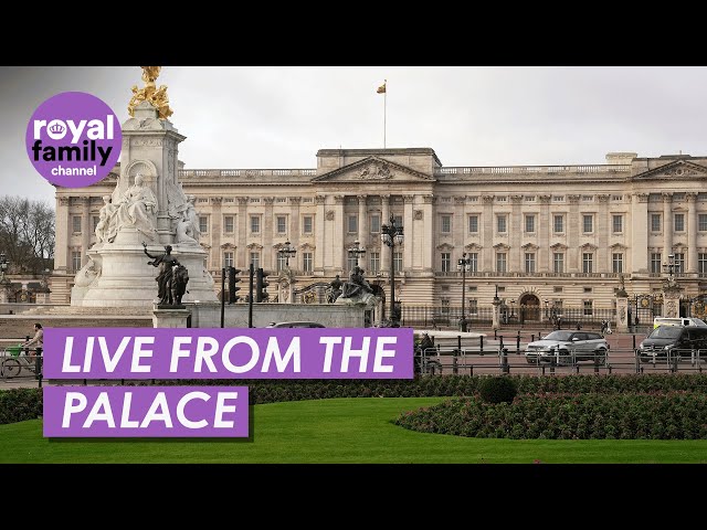 LIVE: Buckingham Palace a Day After The King's Cancer Diagnosis is Revealed