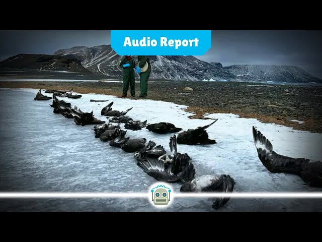 Scientists Track Spread of High Pathogenic Avian Influenza in Antarctica...