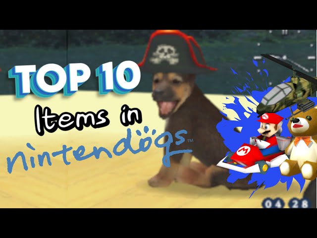 Top 10 Items in Nintendogs