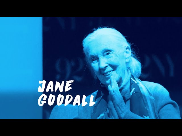 The David Rubenstein Show: Jane Goodall