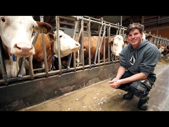 Junge Landwirte - Mein Leben auf dem Bauernhof