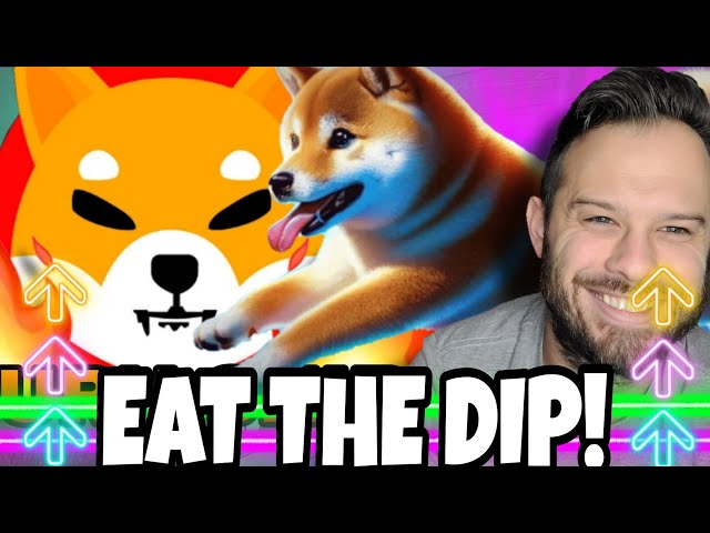 Shiba Inu Coin | SHIB Whales Eat The Dip! Dogeverse Major Website Update!