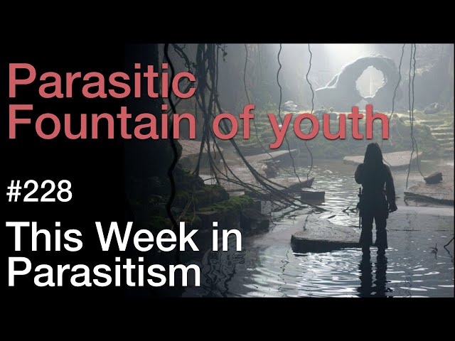 TWiP 228: Parasitic fountain of youth