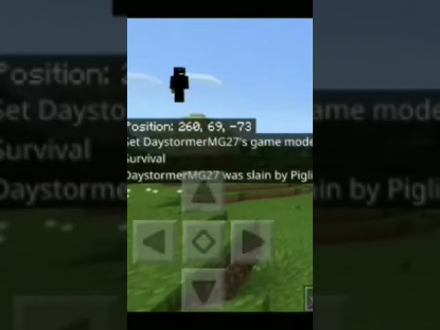 Being betrayed by a Piglin in Minecraft #shorts