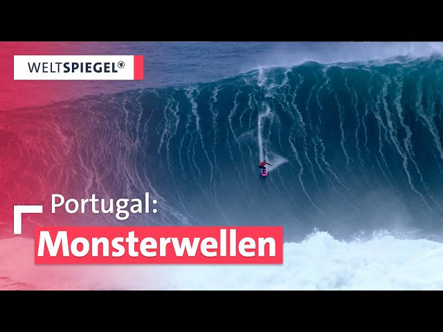 Gefährlicher Reiz des Big-Wave-Surfens: Warum Nazarés Wellen Surfer weltweit anziehen I Weltspiegel