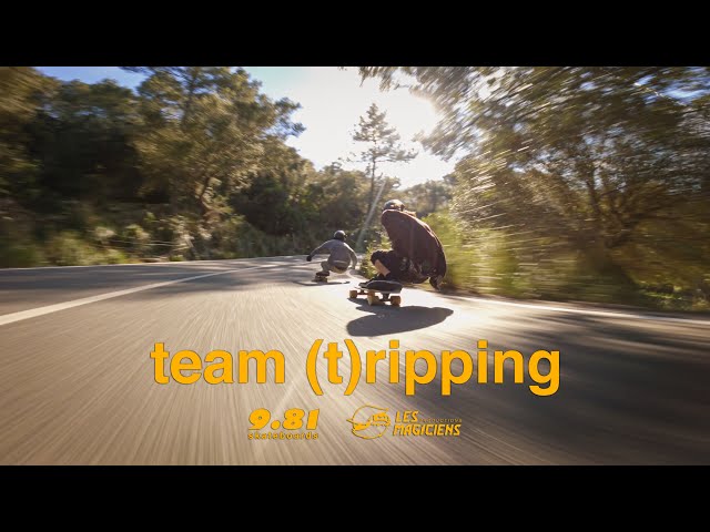 Team (t)Ripping - 9.81 Skateboards