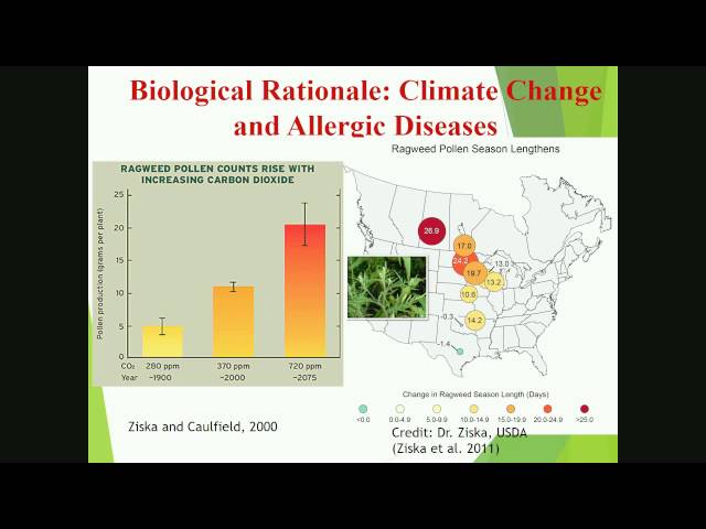 Climate Change, Alteration in Plant Phenology & Allergic Diseases in the Continental US
