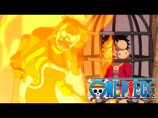 Nami s'éveille au Haki des Rois ?! | One Piece