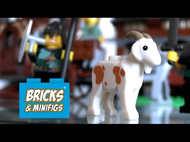 Crazy Valuable LEGO Goat! Top 5 Sets at Bricks & Minifigs in Portland
