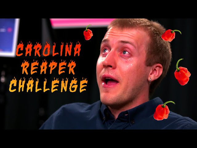 World’s Hottest Pepper Challenge: Carolina Reaper 2020