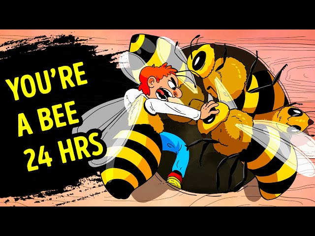 What'd Your Life Look Like If You Were a Bee?