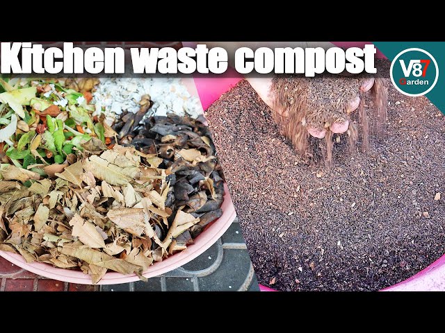 How to Make Compost From Kitchen Waste | Best Organic Fertilizer