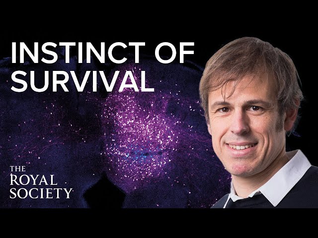 Neurons, synapses, and the instinct of survival | The Royal Society