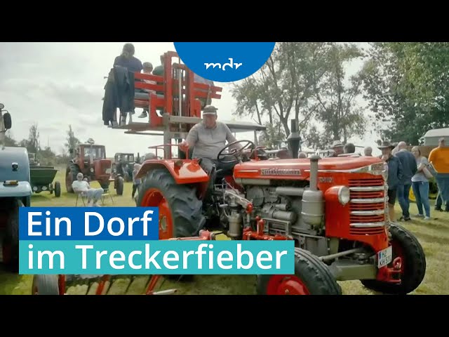 Hürlimann, Lanz & Co. - Oldtimer-Traktoren als Lebensgefühl | Umschau | MDR