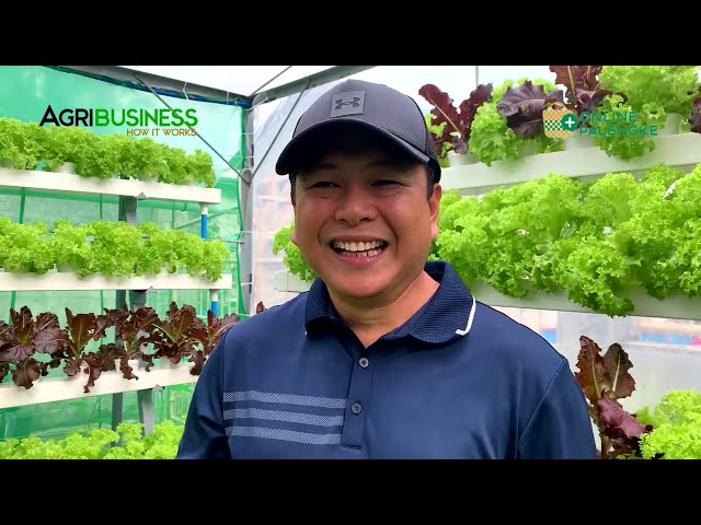 MINI FARM sa harap ng bahay FULL VERSION: Hydroponics, Vertical Farming DIY -