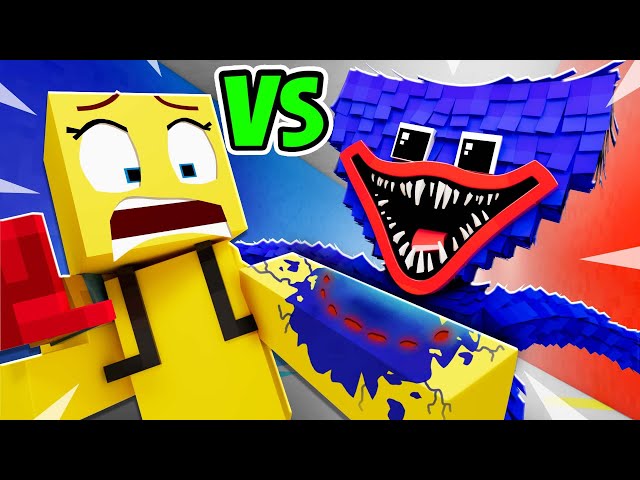PRO PLAYER vs HUGGY WUGGY?! - Animation
