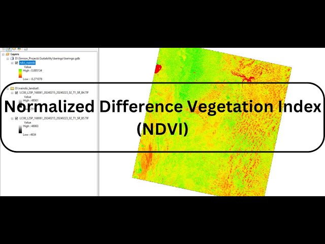 How to calculate NDVI using Landsat8 and ArcMap