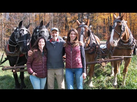 The Horses and Family Life