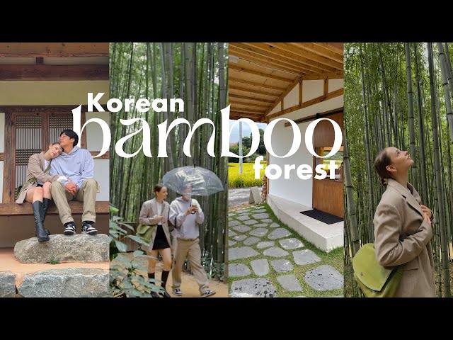 Korean Countryside Vlog ☕️ damyang bamboo forest, aesthetic mountain cafes & amazing food | Sissel
