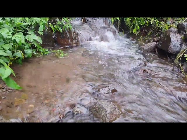 Calming Soft River flowing Sound. 1 Hours Water Stream. Gentle River 4k, White Noise for Sleeping