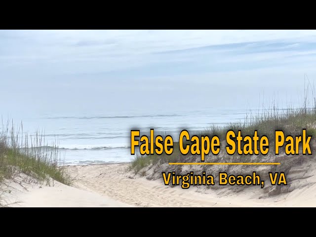 Virginia Beach's untamed coastline
