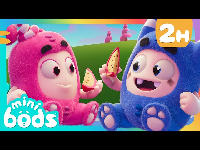 Chin Chin! 🍉 | Minibods | Preschool Cartoons for Toddlers