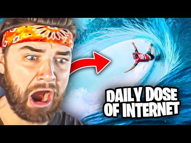 KingWoolz Reacts to DAILY DOSE OF INTERNET INSANE Clips!!