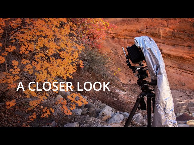 Zooming In On Color | Large Format Photography Fall 2021 - Episode 3