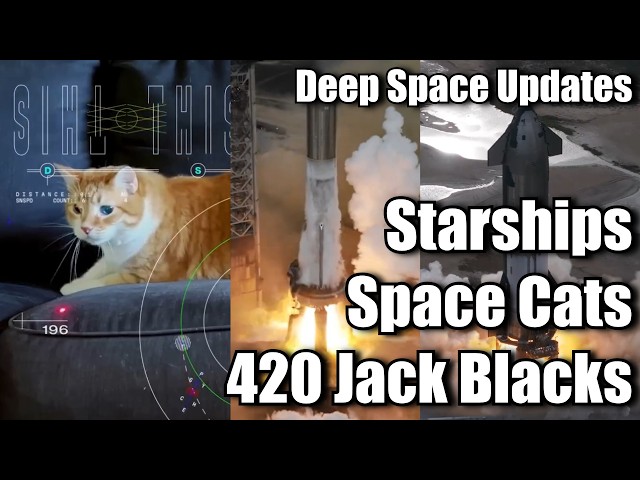 Space Cats, 20 Launches, 69 Flights & 420 Jack Blacks - Deep Space Updates