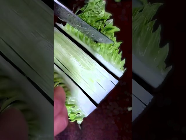 How thin can a cabbage leaf be sliced 🤨