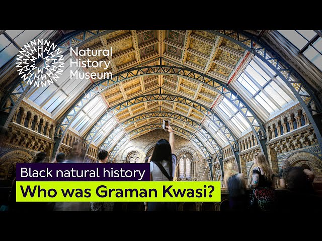 Untold stories: Who was Graman Kwasi? | Black Natural History