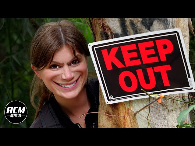 Keep Out | Short Horror Film