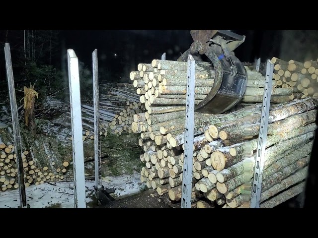 320CLL caterpillar log loader loading 8/9/10 foot stud wood