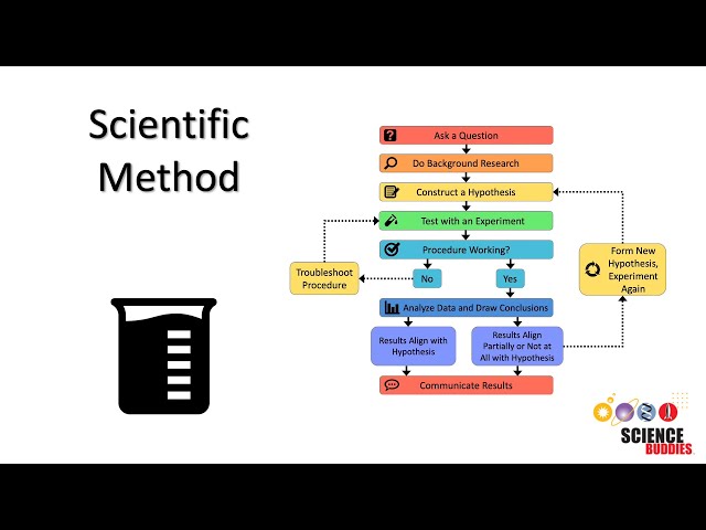The Scientific Method: Steps and Examples
