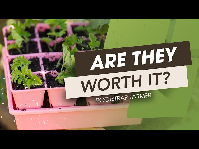 Why Cheap Doesn't Pay (9 Tips to Help You Price Your Plant Starts)