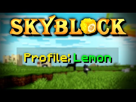 ThirtyVirus Hypixel SkyBlock Lemon (in order)