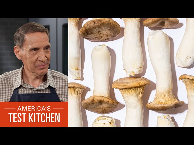 Expert's Guide to Mushrooms