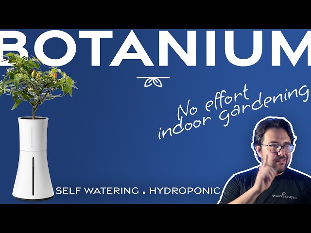 Botanium: Self-Watering & Hydroponic Pot for Easy No-Effort Indoor Gardening