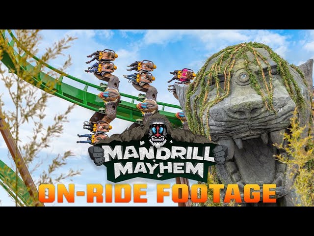 Mandrill Mayhem POV on-ride @ World of Jumanji | Chessington World of Adventures Resort
