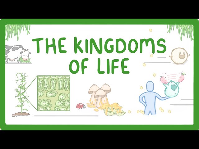 Kingdoms of Life - Animals, Plants, Fungi, Protoctists, Bacteria and Viruses #1
