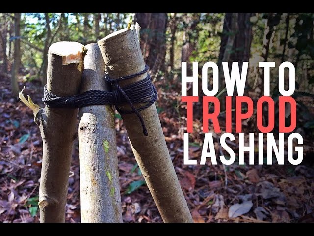 How to Tie a Tripod Lashing