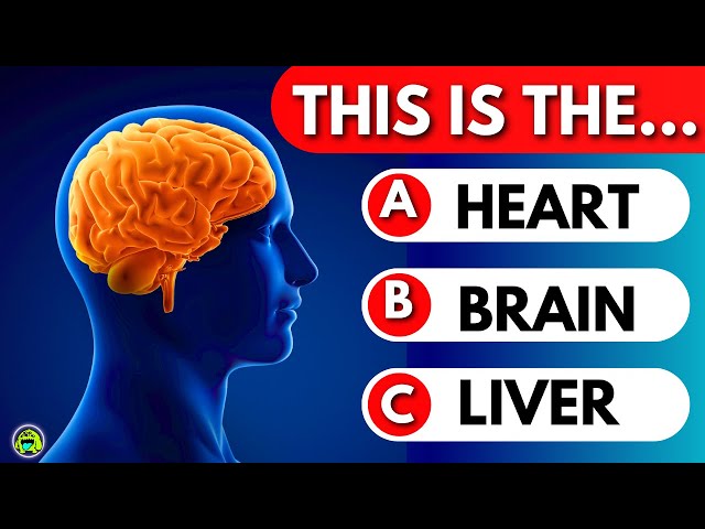 🧠 Human Body Quiz: Can You Pass? 💪🧬 General Knowledge Quiz