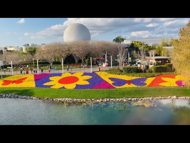 Soaring Ahead: Epcot's Monorail Ride