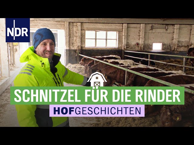 Schnitzel für die Rinder | Hofgeschichten: Leben auf dem Land (276) | NDR