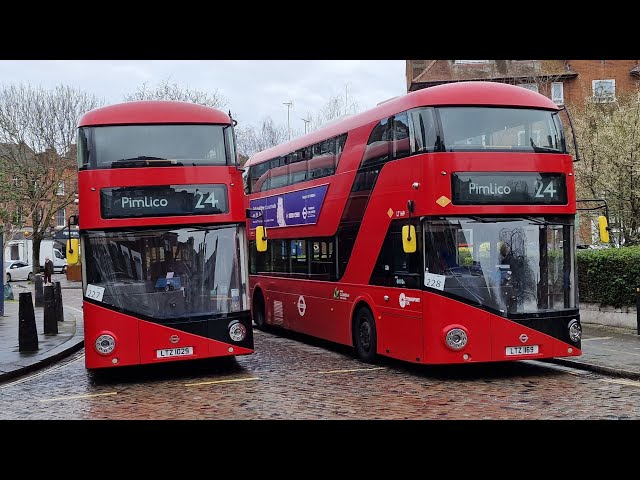 London's Iconic Landmarks: Bus 24 Top Deck Tour 🤩🚍💂