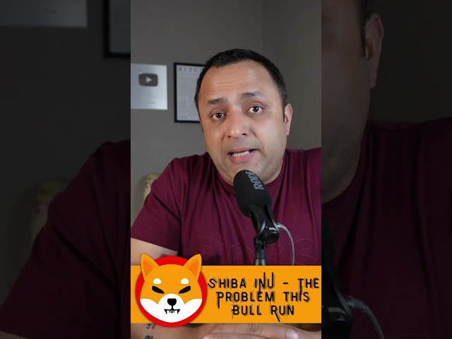 Shiba INU Coin -  The Problem In This BULL Run in 2024-25 🔥| Shiba INU Price Prediction | Meme Token