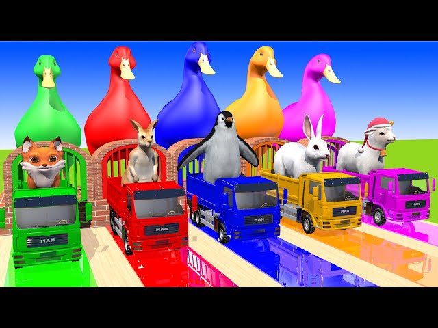 5 Giant Duck, Monkey, Piglet, Chicken, Fox, Kangaroo, Cow, Sheep, Transfiguration funny animal 2023